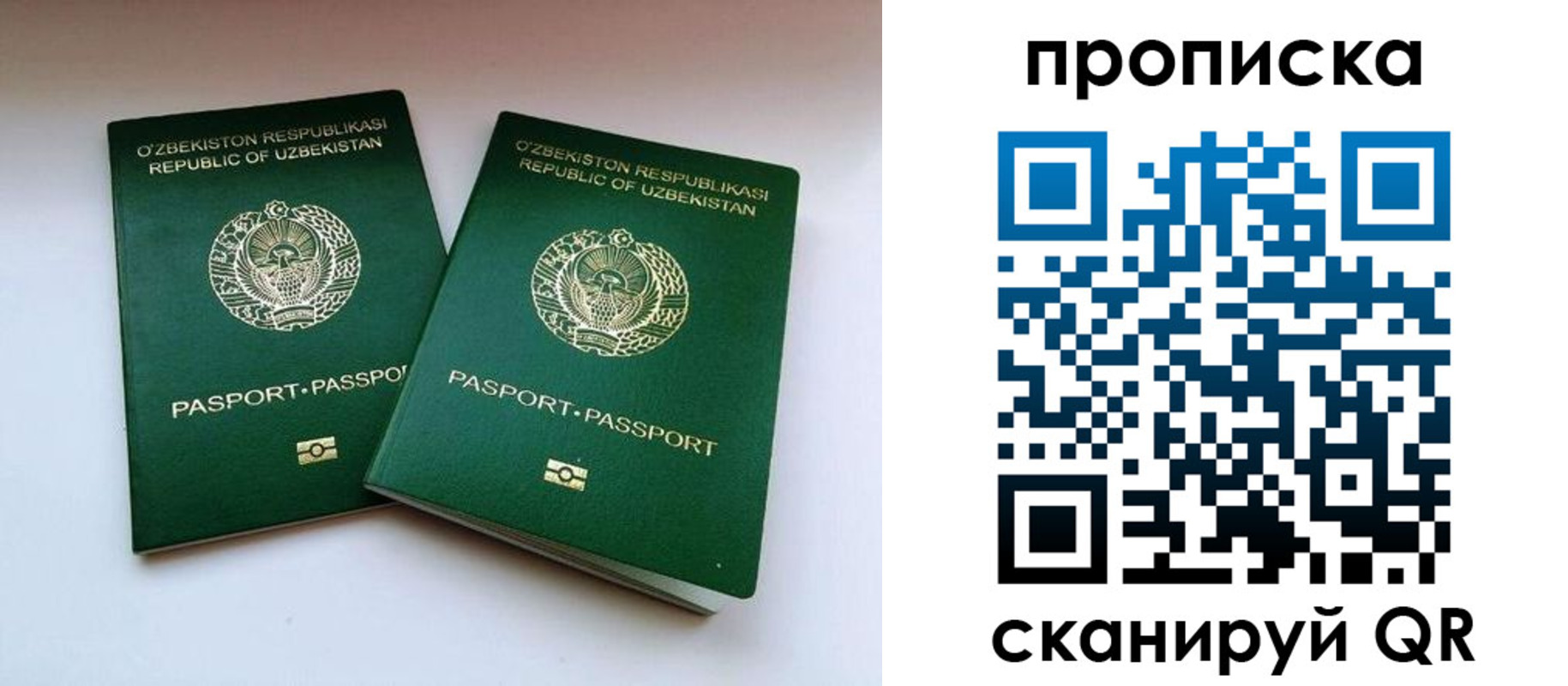 прописка поиск в Вольске